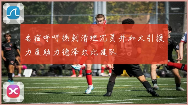 名宿呼吁热刺清理冗员并加大引援力度助力德泽尔比建队