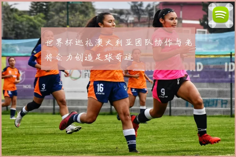 世界杯巡礼澳大利亚团队协作与老将合力创造足球奇迹